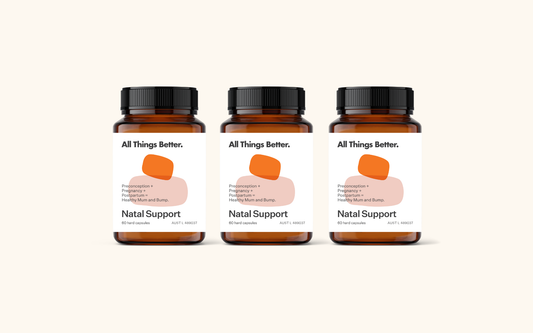 3 Month Supply Natal Support
